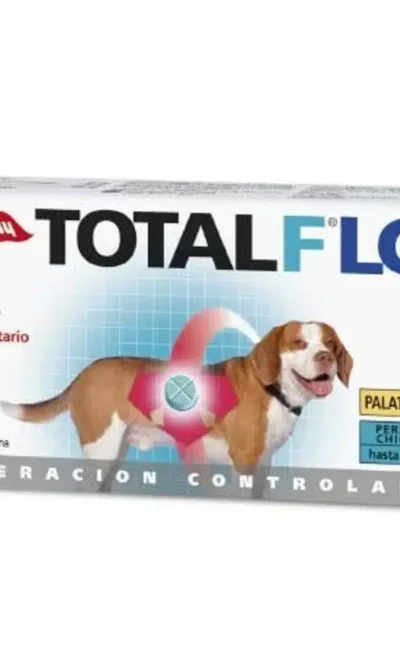 Total-flc-perrospequeños-ameanimal1