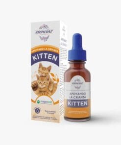 flores-de-bach-gotas-kitten-ameanimal1.jpeg