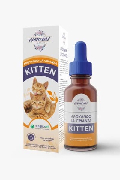 flores-de-bach-gotas-kitten-ameanimal1.jpeg
