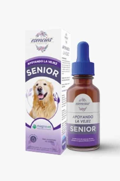 flores-de-bach-gotas-senior-dog-ameanimal1