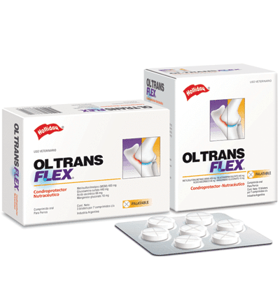 ol-trans-flex-ameanimal1