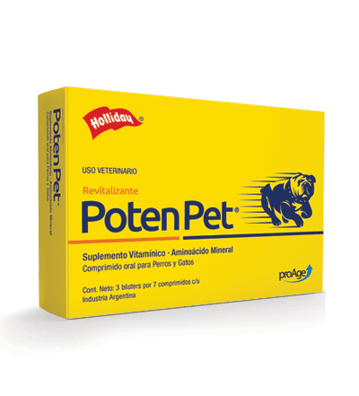 potenpet-ameanimal1