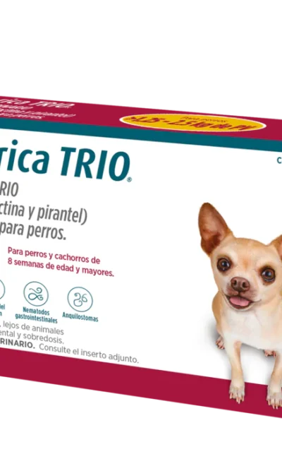 simparicatrio-1.25a2.5kg-ameanimal1