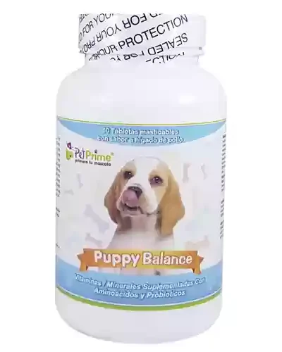 Puppy-balance-ameanimal1