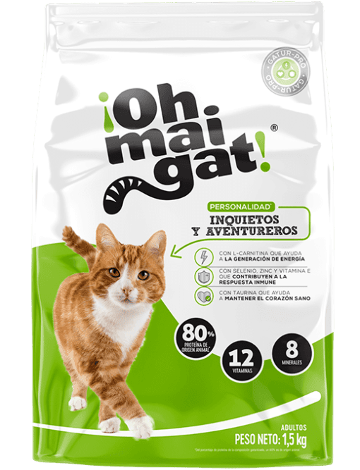 Ohmaigat-inquietos-y-aventureros-ameanimal1