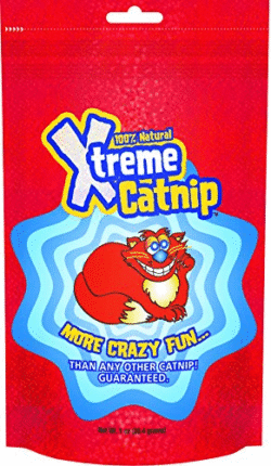 xtreme-catnip-ameanimal1