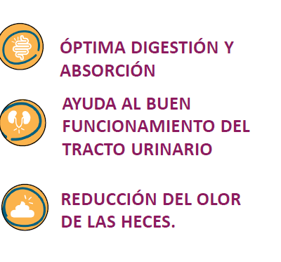 MAX VITA GATO ADULTO BUFFET FRANGO & VEGETAIS 2 ame animal