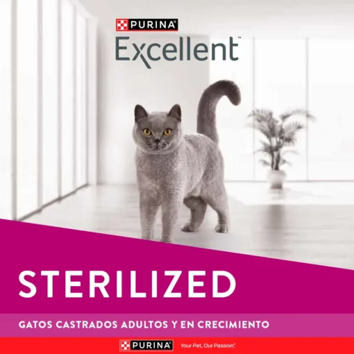 Excellent Gato Sterilized - Imagen 2