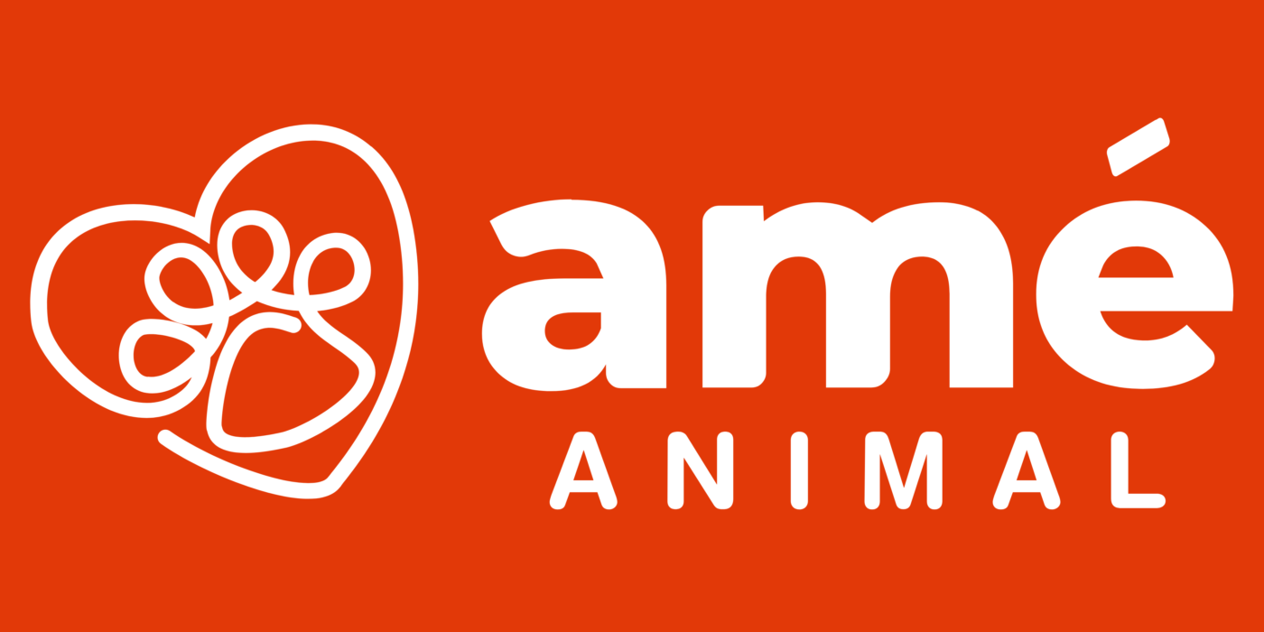 Amé Animal